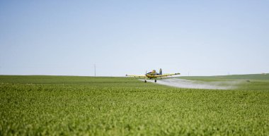 Close up image of crop duster airplane spraying grain crops on a field on a farm clipart