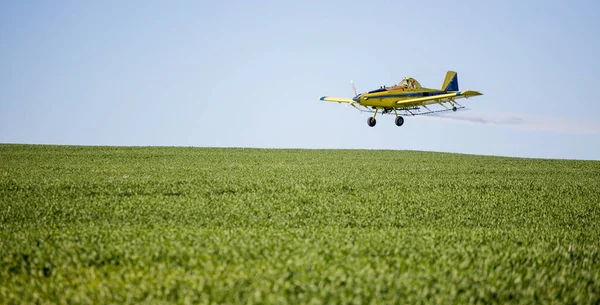 Close Image Crop Duster Airplane Spraying Grain Crops Field Farm — Stock Photo, Image