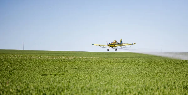 Κοντινό Πλάνο Εικόνα Των Καλλιεργειών Αεροπλάνο Ξεσκονόπανο Ψεκασμό Καλλιέργειες Σιτηρών — Φωτογραφία Αρχείου