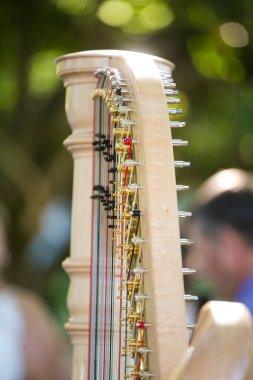 Düğün resepsiyonunda çalınan arpın yakın çekimi.