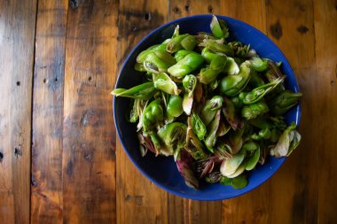 A bowl filled with freshly harvested waterblommetjies. These edible water lilies, native to the Western Cape, are a key ingredient in Waterblommetjie Bredie, a stew cherished in Cape cuisine. clipart