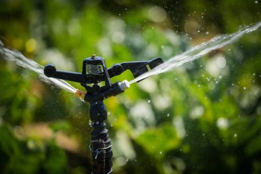 Tarımda sulama için kullanılan, tarımda sürdürülebilir su yönetimi uygulamalarını vurgulayan, ekinlerin ve yeşilliklerin bulanık arka planına sahip bir fıskiye başlığının yakın plan çekimi.