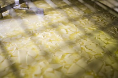 Close-up of curd formation inside an industrial cheese vat, showing the cheesemaking process with stainless steel stirring equipment in a dairy production facility. clipart