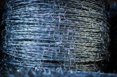 Close-up of tightly coiled galvanized barbed wire, showcasing its sharp metal spikes and intricate twisted pattern used for fencing and security clipart