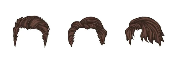 Mens Brown Wigs Template Set Gaya Rambut Mode Dengan Rambut - Stok Vektor