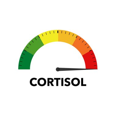 Indicator of hormone cortisol. Gauge with dial showing happiness green and negative depression red pressure with dashboard vector speedometer