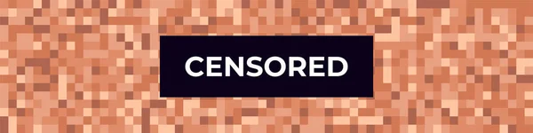 Contenido Advertencia Censurado Píxeles Visualización Censura Con Etiqueta Censura Pintada — Vector de stock