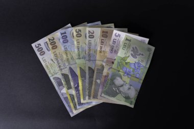 Romanian lei banknotes cash paper