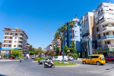 Alanya Hindi Sokağı Palmiyeleri