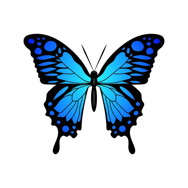 Farfalla Blu Silhouette Monarca Farfalla Disegno Disegnato Mano Vettore Illustrazione — Vettoriale Stock