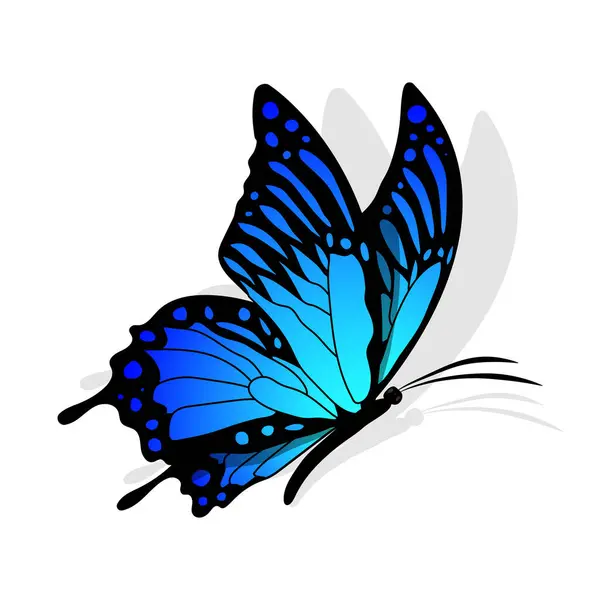 Mariposa Azul Vista Lateral Silueta Monarca Mariposa Diseño Dibujado Mano — Vector de stock