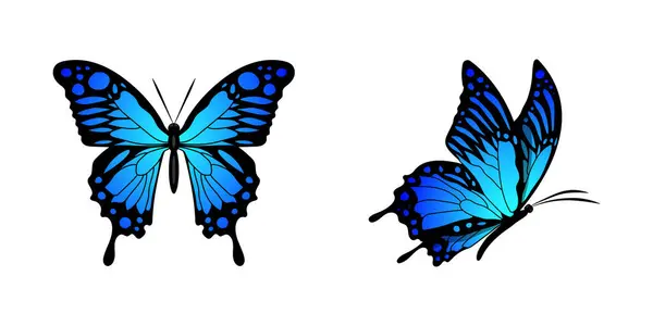 Vlinder Blauw Set Silhouet Vlieg Zijaanzicht Monarch Vlinder Ontwerp Hand — Stockvector