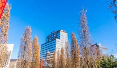 Timisoara, Romanya 17 Ocak 2024: Iulius Mall, Timisoara, Romanya