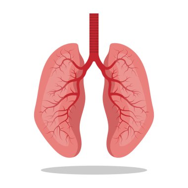  Akciğer ikonu, konsept düz stil. İnsan tasarım elementinin iç organları, logo. Anatomi, tıp konsepti. Sağlık vektörü illüstrasyonu