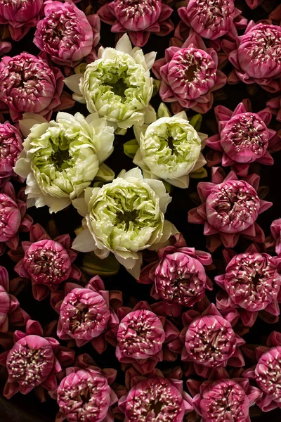 Arranjo Flores Tradicionais Lótus Branco Vermelho Cambodia — Fotografia de Stock