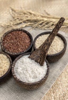 Kamboçya 'da kırsal alanda farklı Asya pirinç taneleri sergileniyor.