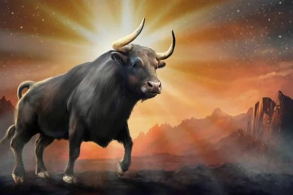 Bull in the morning, bull in the sunset. Artwork, fine art, poster, digital oil paintings landscape.