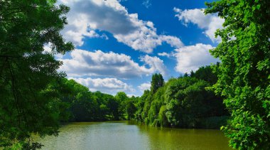 Yaz manzarası, parktaki nehir, parktaki ağaç.