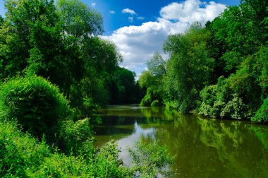 Yaz manzarası, parktaki nehir, parktaki ağaç.