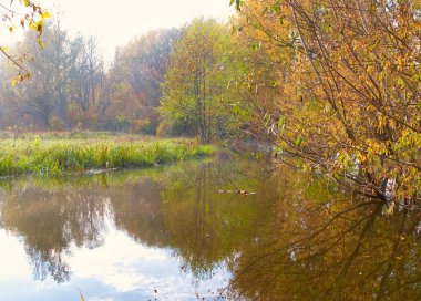 Sonbaharda nehir, sonbahar ağaçları suya yansıyor, parkta göl.