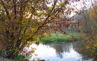 Sonbaharda nehir, sonbahar ağaçları suya yansıyor, parkta göl.