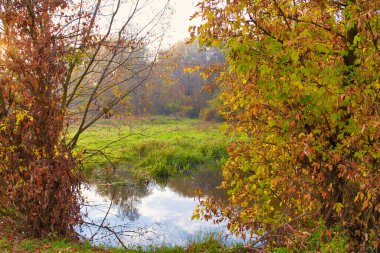 Sonbaharda nehir, sonbahar ağaçları suya yansıyor, parkta göl.