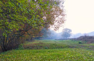 Ağaçlı sonbahar manzarası, güzel kırsal çayır, çayır.