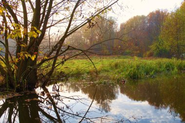 Ormandaki nehir, ormandaki göl, nehir ve bulutlar, sudaki ağaçların yansıması.