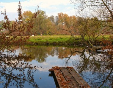Ormandaki nehir, ormandaki göl, nehir ve bulutlar, sudaki ağaçların yansıması.