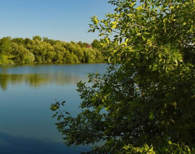 Ormandaki nehir, ormandaki göl, nehir ve bulutlar, sudaki ağaçların yansıması.