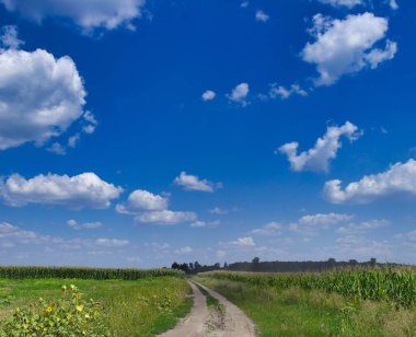 Yaz manzarası, tarlada yol, kırsalda yol, mavi gökyüzü ve bulutlu manzara.