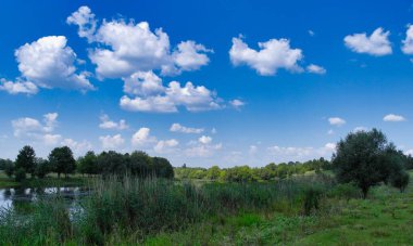 Göllü ve ağaçlı yaz manzarası, göl ve orman, mavi gökyüzü ve bulutlu manzara, nehirli manzara, nehirdeki ağaçlar