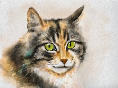 Suluboya resimler bir kedinin portresini kapatır.