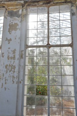 Kraliyet Sarayı 'ndaki İngiliz bahçesi diğer adıyla Caserta, İtalya' daki Reggia.