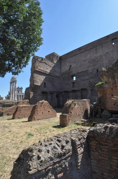 Ruinas Del Foro Romano También Conocido Como Foro Romano Roma —  Fotos de Stock