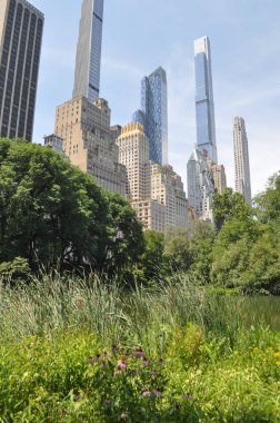 The Central Park in New York, USA