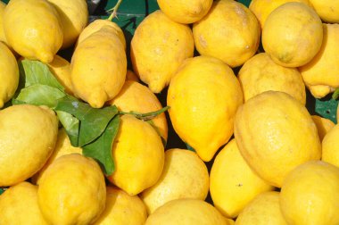 Sarı limon bilimsel adı Citrus limon vejetaryen meyve