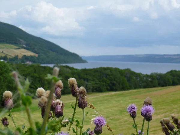 Loch Ness Loch Acqua Dolce Vicino Inverness Regno Unito — Foto Stock