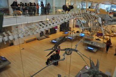 TRENTO, İtalya - 10 Mayıs 2023: Museo delle Scienze namı diğer Müze Fuer Wissenschaft Çeviri: