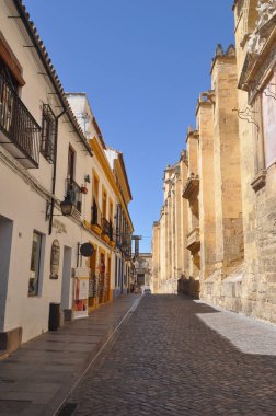 CORDOBA, İSPAN - 21 AĞUSTOS 2023: