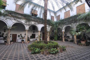 CORDOBA, İSPAN - 22 Ağustos 2023 Palacio de Viana Sarayı