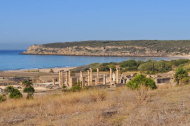 Baelo Claudia Bolonya, İspanya 'daki antik Roma kenti arkeolojik alanı