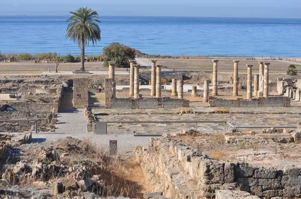 Baelo Claudia Bolonya, İspanya 'daki antik Roma kenti arkeolojik alanı