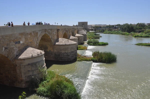 CORDOBA, İSPAN - 22 Ağustos 2023: Puente Romano tercümesi Guadalquivir Nehri üzerindeki Roma Köprüsü