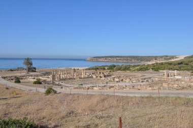 Baelo Claudia Bolonya, İspanya 'daki antik Roma kenti arkeolojik alanı