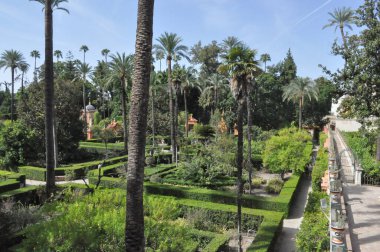 SEVILLA, İspanya - 20 AĞUSTOS 2023: Royal Alcazar Palace Gardens