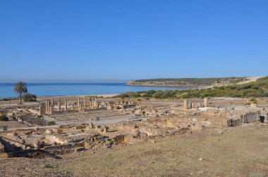 Baelo Claudia Bolonya, İspanya 'daki antik Roma kenti arkeolojik alanı