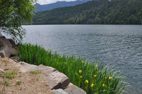 Lago Levico Lago Levico Terme — Foto Stock