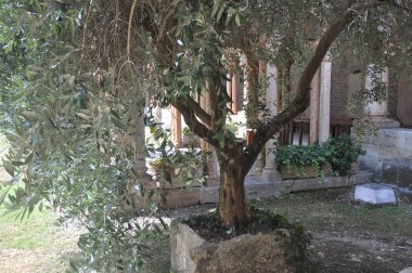 VERONA, ITALY - 27 AĞUSTOS 2021: San Zeno Bazilikası namı diğer San Zeno Maggiore veya San Zenone