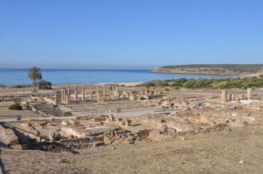 Baelo Claudia Bolonya, İspanya 'daki antik Roma kenti arkeolojik alanı